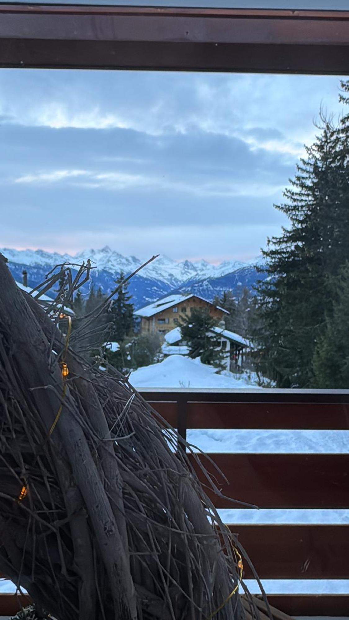 My Cozy Escape